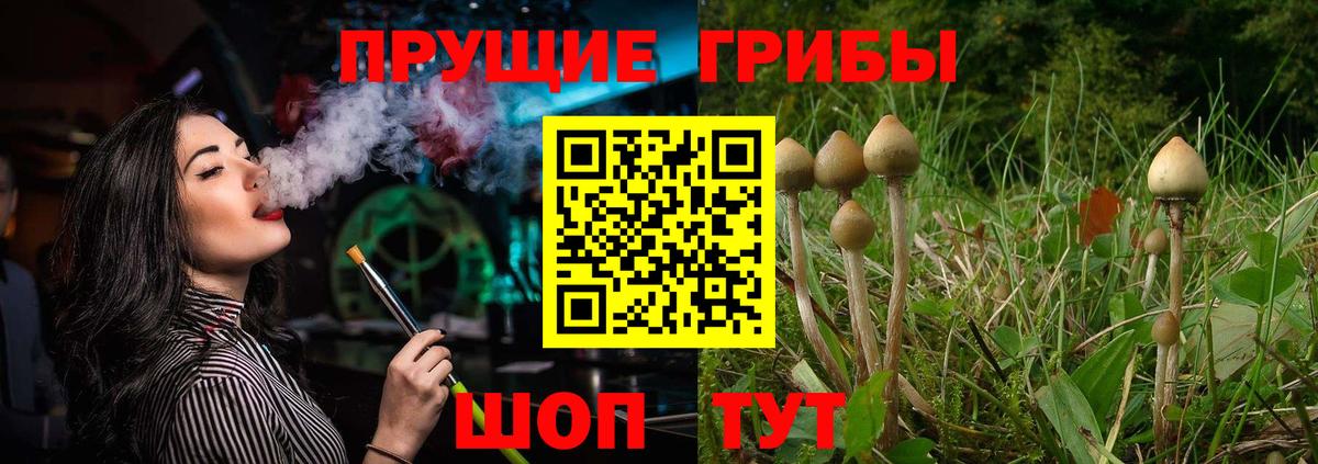Псилоцибиновые грибы ЛСД Алатырь